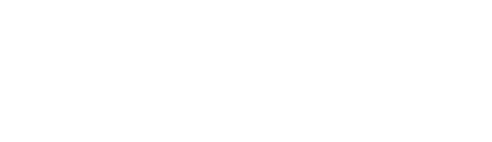 VLM
